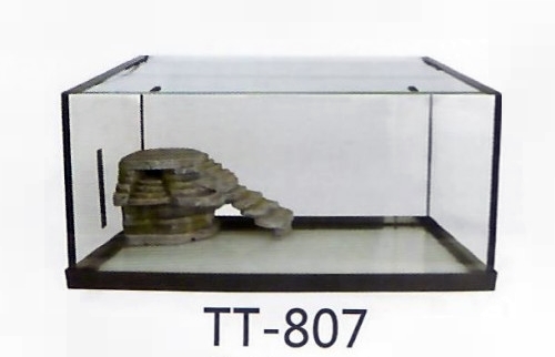 Fish Aquarium